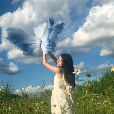 夏日之书2024